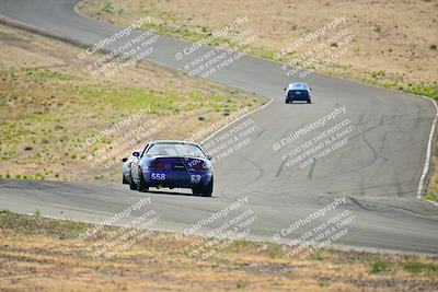 media/May-04-2025-Lucky Dog Racing (Sun) [[21629467aa]]/Turn 6 (910-930am)/